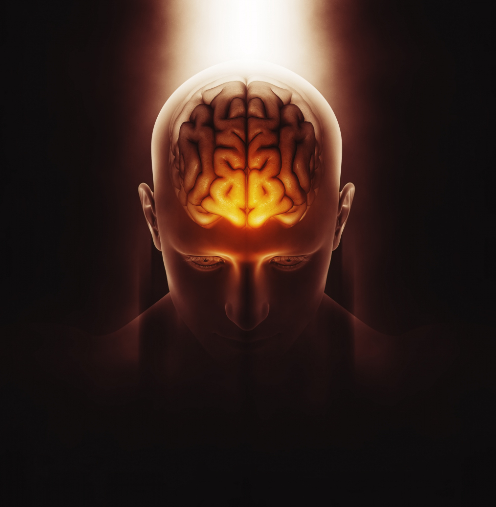 Cerebro en duelo